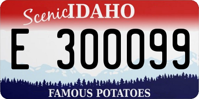 ID license plate E300099