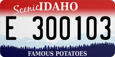 ID license plate E300103