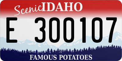 ID license plate E300107