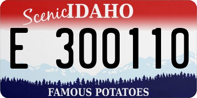 ID license plate E300110