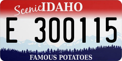 ID license plate E300115