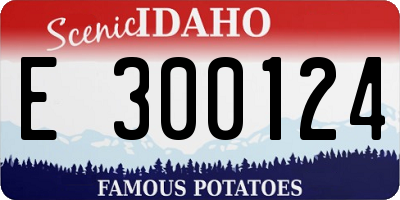 ID license plate E300124