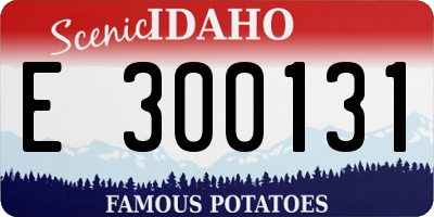 ID license plate E300131