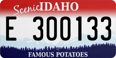 ID license plate E300133