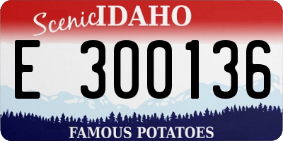 ID license plate E300136