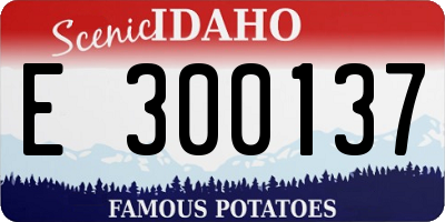 ID license plate E300137