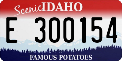 ID license plate E300154