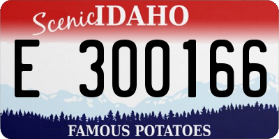 ID license plate E300166