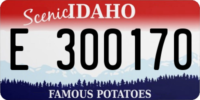 ID license plate E300170
