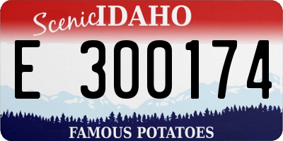 ID license plate E300174