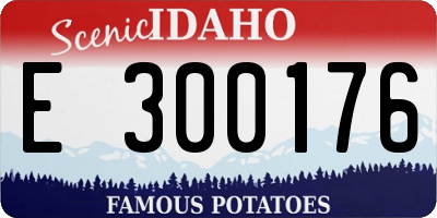 ID license plate E300176