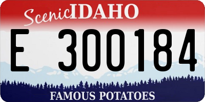 ID license plate E300184