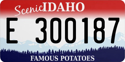 ID license plate E300187
