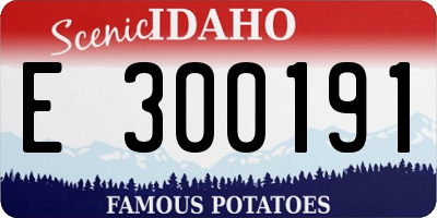 ID license plate E300191