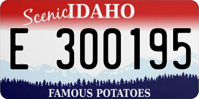 ID license plate E300195