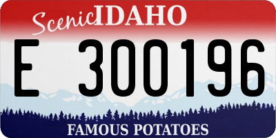 ID license plate E300196