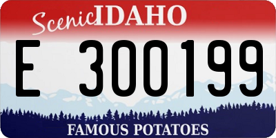 ID license plate E300199