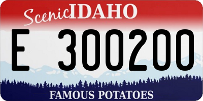 ID license plate E300200