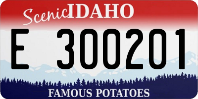 ID license plate E300201