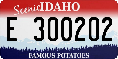 ID license plate E300202