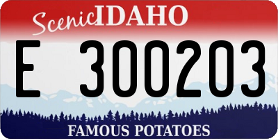 ID license plate E300203