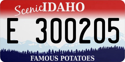 ID license plate E300205