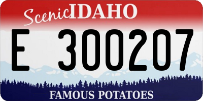 ID license plate E300207