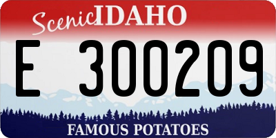 ID license plate E300209