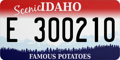 ID license plate E300210