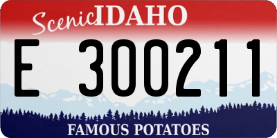 ID license plate E300211