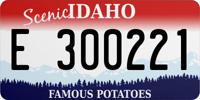 ID license plate E300221