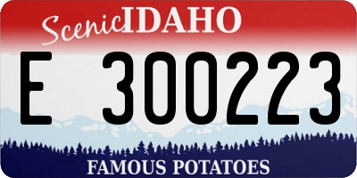 ID license plate E300223