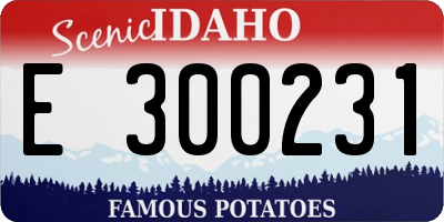 ID license plate E300231