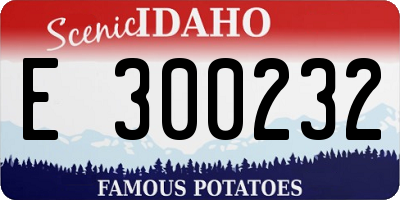 ID license plate E300232