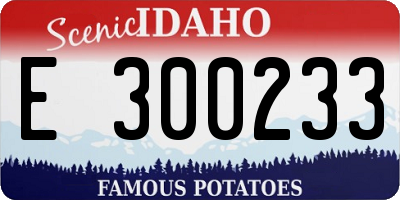 ID license plate E300233