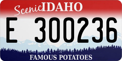 ID license plate E300236