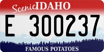 ID license plate E300237