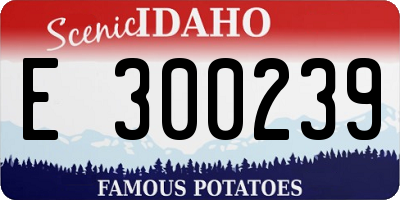 ID license plate E300239