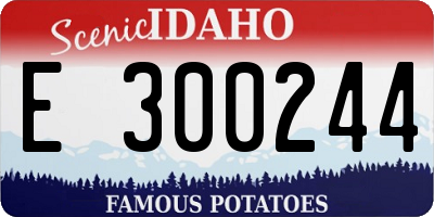 ID license plate E300244
