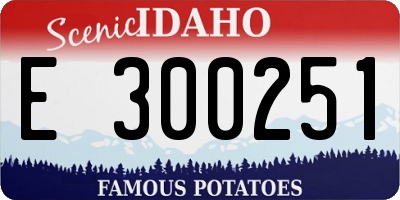 ID license plate E300251