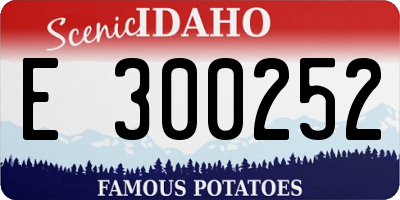 ID license plate E300252