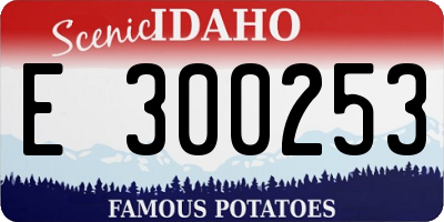 ID license plate E300253
