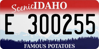 ID license plate E300255