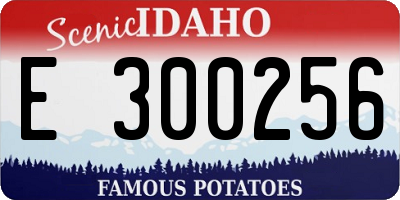 ID license plate E300256