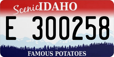 ID license plate E300258