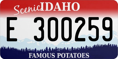 ID license plate E300259