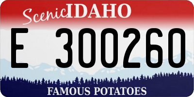 ID license plate E300260
