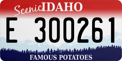 ID license plate E300261