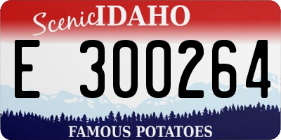 ID license plate E300264