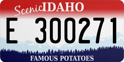 ID license plate E300271